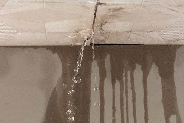 Professional Structural Drying technician working in Eastland, TX